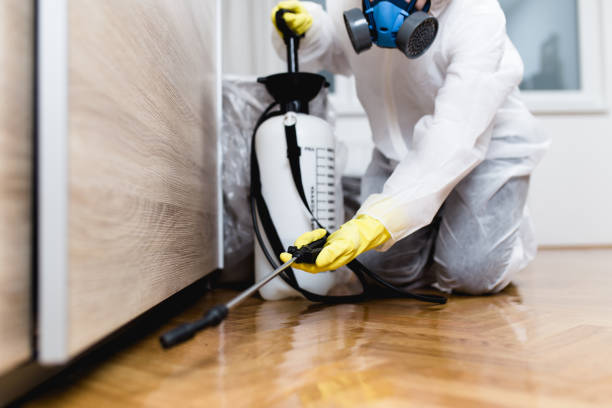 Best Residential Pest Control  in Sparkill, NY