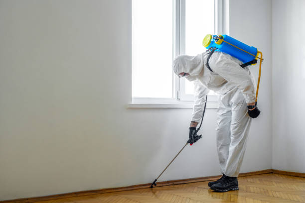 Professional Pest Control in Sparkill, NY