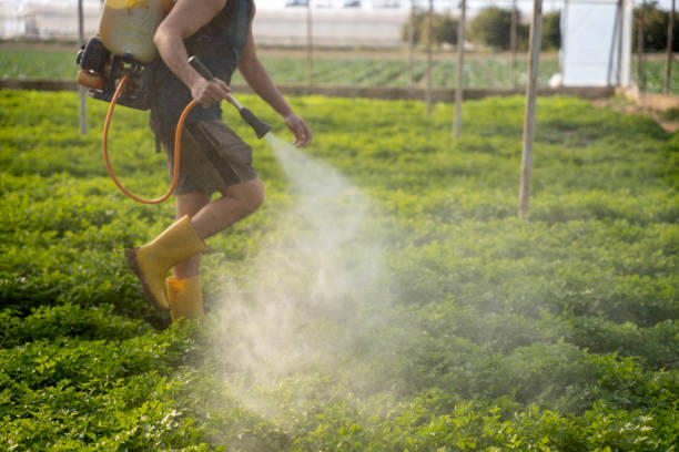 Best Affordable Pest Control Services  in Sparkill, NY