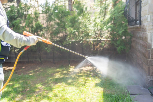 Wildlife Control Services in Sparkill, NY