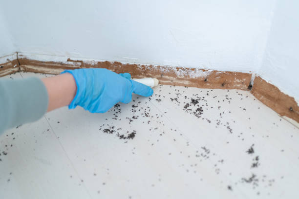 Best Commercial Pest Control Services  in Sparkill, NY